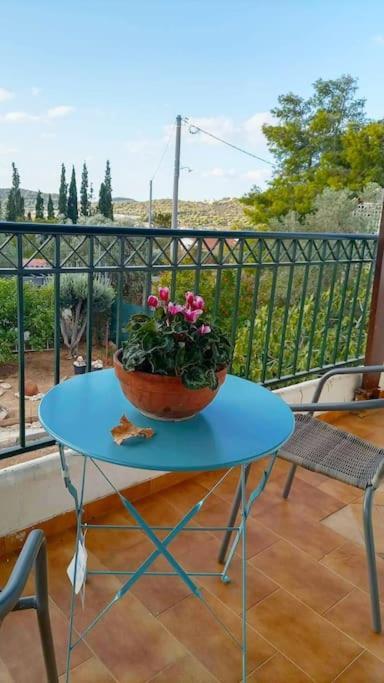 Apartmán Marco Polo'S Mooring Cozy Navy House Anavyssos Exteriér fotografie