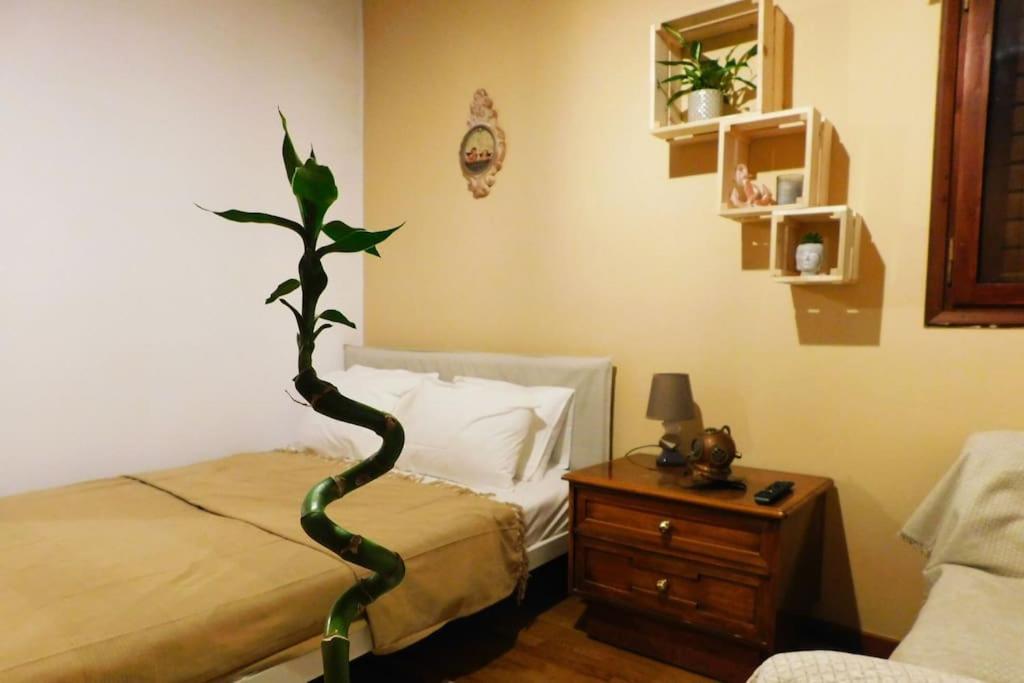 Apartmán Marco Polo'S Mooring Cozy Navy House Anavyssos Exteriér fotografie